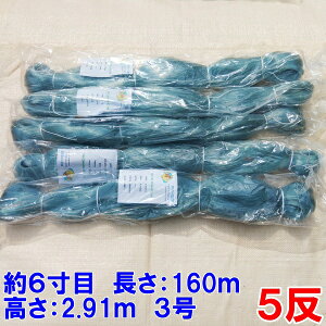 yő100%PobNz h h 5 6 160m 2.91m 3 DF    5 iBʓr500~jRu91mm2.91mDF@5@Rv