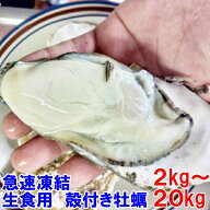 【10％オフクーポン】急速凍結 生食用冷凍牡蠣 殻付き 牡蠣 送料無料 2kg〜20kg 冷凍便 牡蠣 殻付き【熨…
