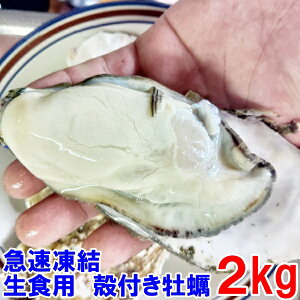 } HpⓀy kt y  2kg Ⓚ y ktylΉ\z {錧Y kty kt kt JL a  yuHp@Ⓚy@2kgv