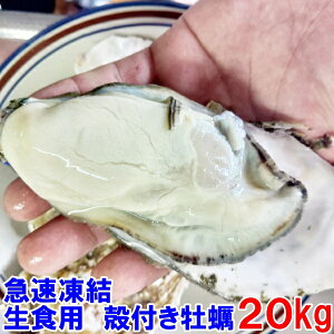 20kg } HpⓀy kt y  20kg Ⓚ y ktylΉ\zkty kt kt JL a  y uHp@Ⓚy@20kgv