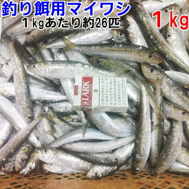 【最大100%Pバック】冷凍餌 マイワシ 中サイズ 1kg〜10kg【1kgずつ小分け】 1kgあたり約26匹 14kgは小分け無のブロック 釣り餌 真鰯 まいわし 鰯 釣りエサ 撒き餌 熱帯魚 観賞魚 アロワナ 淡水魚餌 フィッシング