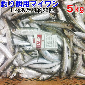 yő100%PobNzⓀa }CV TCY 1kg`10kgy1kgz 1kg26C 14kg͏̃ubN ނa ^ ܂킵  ނGT Ta Mы Ϗ܋ Ai Wa 