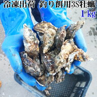 冷凍出荷 釣り餌用 1kg〜14kg かぶせ釣り 牡蠣 餌用牡蠣 牡蛎 釣りエサ コブダイ つり餌 つりエサ 貝類 …