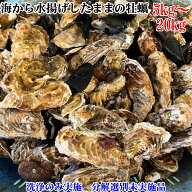 海から水揚げしたままの牡蠣【要説明確認】5kg～20kg 生食用 ムール貝 アカザラガイ 手間のかかる牡蠣で…