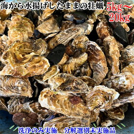【10％OFFクーポン有】海から水揚げしたままの牡蠣【要説明確認】5kg～20kg 生食用 ムール貝 アカザラガイ 手間のかかる牡蠣です 生牡蠣 牡蛎 松島牡蠣屋 かき カキ 半分程度は不要なゴミが出ます ムラサキイガイ貝 貝類 BBQ食材
