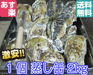 y kt y Mpu2kgv y15zyoׂ8/31܂ 9/1͓ioׁzkt y kt a y kt {錧Y Iʉy JL Mp y y 