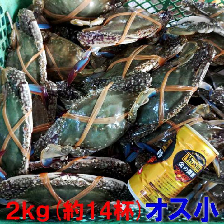 楽天市場 P10倍設定中 ワタリガニ オス小サイズ 渡り蟹 ガザミ 梭子蟹 ケジャンにも 活発送 ２ｋｇ 約14杯 送料無料 カンナ屑梱包 活到着補償販売ではございません がざみ 蟹通販 宮城県産 ガザミ オス小２ｋｇ 80 松島牡蠣屋