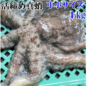 | }_R u^ TCY1`4kgv {錧Y YBtIl蔭łB ^hg }_R ^@^ ߃}_R Y^ Y}_Ry80z