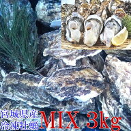 【10％OFFクーポン有】牡蠣 殻付き 牡蠣3kg MIX 冷凍便 牡蠣 送料無料！ 3キロ 宮城県産 殻付き牡蠣 殻付…