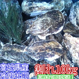 【10％OFFクーポン有】牡蠣 殻付き 「冷凍 牡蠣 割れB品10kg」（約120粒）冷凍便送料無料！10キロ 宮城県産 殻付き牡蠣 殻付き 殻付 カキ 加熱用 松島牡蠣屋 無選別牡蠣　訳あり BBQ【ふるさと納税リンクあり】