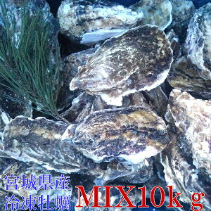 y kt y IʁuMIX10kgvi120jⓀ I10L {錧Y kty kt kt JL Mp y Iʉy a BBQ  Ε o[xL[H y120z