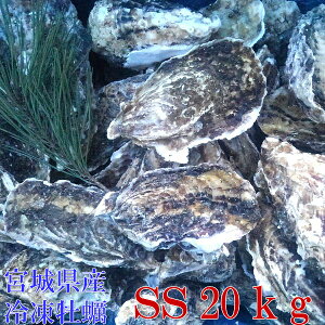 SSTCY20kgi400jⓀ֑I {錧Y kty kt kt JL Mp Nq y Iʉy BBQ ̓ ̓ Mtg Hו  Ε o[xL[H CY