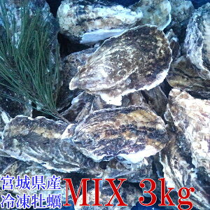 y kt y 3kgi34jIʁuy MIX3kgv Ⓚ I {錧Y kty kt kt JL Mp y a BBQ ̓ ̓ Mtg  Ε o[xL[