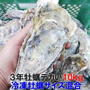 fJy kt yu3Ny 10kgv Ⓚ I10L {錧Y kty kt kt JL Mp y a BBQ o[xL[H CY yʔ́y120z