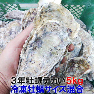 y10OFFN[|LzfJy kt y 3Ny 5kg Ⓚ I5L {錧Y kty kt kt JL Mp ya BBQ o[xL[H u3Ny 5kgvy100z