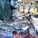 【20％OFFクーポン配布中】「冷凍MIX10kg」牡蠣 殻付き 牡蠣 あす楽対応！無選別（約120粒）冷凍便 送料無料！10キロ …