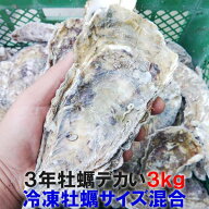 デカい牡蠣 殻付き 牡蠣 3年牡蠣 3kg 冷凍便 送料無料！3キロ 宮城県産 殻付き牡蠣 殻付き 殻付 カキ 生…