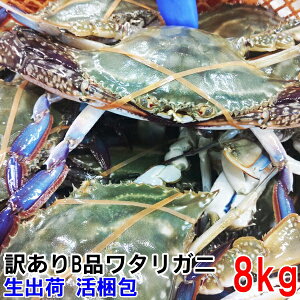y10ItN[|ő100%PobNzA 󂠂萶^Kj 2kg`8kg A nI KU~ Io`[gĂ qI  ⏞̔ł͂܂ 
