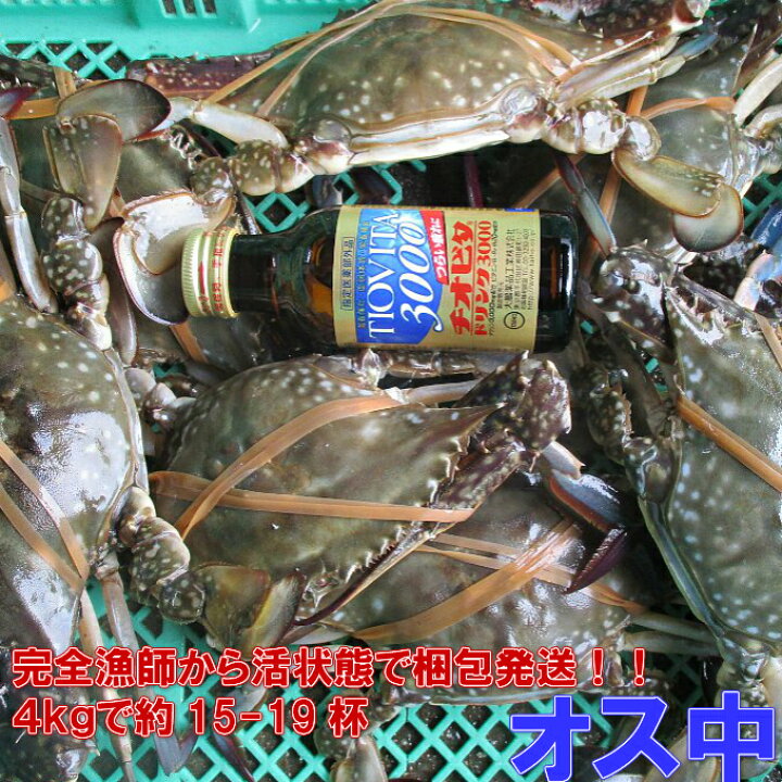 楽天市場 ワタリガニ オス中サイズ 渡り蟹 ガザミ 梭子蟹 ケジャンにも 活発送 ４ｋｇ 約15 19杯 送料無料 カンナ屑梱包 活到着補償販売ではございません がざみ 蟹通販 宮城県産 ガザミ オス中 ４ｋｇ 100 松島牡蠣屋