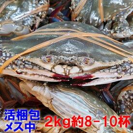 楽天市場 ワタリガニ 生の通販 楽天市場 ワタリガニ 生の通販