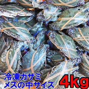 【10%オフクーポン&最大100%Pバック】ワタリガニ メス中サイズ 渡り蟹 ガザミ 梭子蟹 ケジャンにも! 冷凍発送4kg(約18杯)(2kg×2箱)送料無料 がざみ 蟹通販 宮城県産 活状態から冷凍品