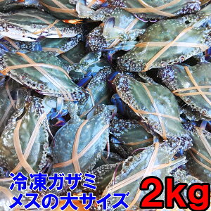 y10ItN[|ő100%PobNz^Kj XTCY nI KU~ qI PWɂI Ⓚ2kgi4-6tjΕΉ   Iʔ {錧Y ԂⓀ
