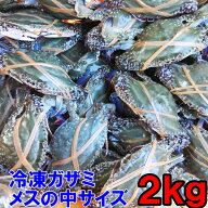 ワタリガニ メス中サイズ 渡り蟹 ガザミ 梭子蟹 ケジャンにも！ 冷凍発送2kg（約9杯）お歳暮対応可 送料…