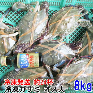 y10ItN[|ő100%PobNzⓀ ^Kj IXTCY8kgi24tji2kg×48kgj nI KU~ qI PWɂI  {錧Y Ⓚ ⓀI ⓀJj qI 