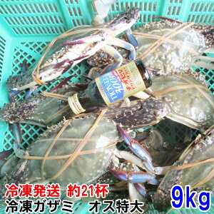 y10ItN[|ő100%PobNzⓀ^Kj IXTCY 3kg`9kgi 7`21tjnI KU~ qI PWɂIⓀ  Iʔ̗ⓀI ⓀJj ⓀnI Ⓚ