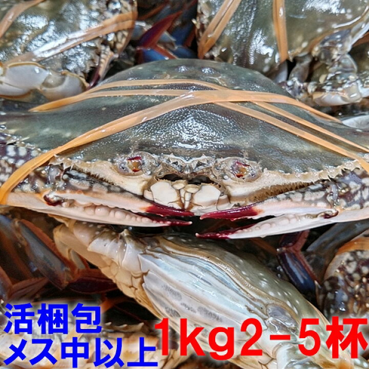 楽天市場 ワタリガニ メス中 特大１ｋｇで２ ５杯 渡り蟹 ガザミ 梭子蟹 ケジャンにも 活梱包発送 送料無料 宮城県産 ガザミ メス中 特大１ｋｇで２ ５杯 80 松島牡蠣屋