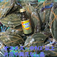 ワタリガニ オスメス混合中〜特大サイズ混合 2kg 渡り蟹 ガザミ 梭子蟹 ケジャンにも！活発送送料無料　…
