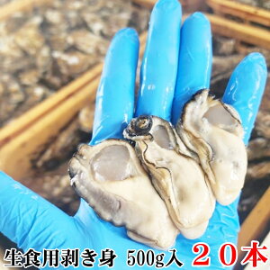 V1NyނgX^[győ100%PobNzy ނg Hp g y 500g(500g×1{) `10kg(500g×20{) JL a ނg ygy ނg g y y JL 