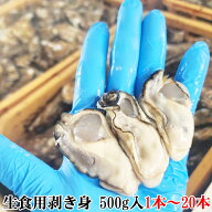 【20％OFFクーポン有】1年牡蠣 生牡蠣 むき身 生食用 剥き身 牡蠣 500g(500g袋×1本) 〜10kg(500g袋×20…