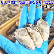 【20％OFFクーポン】1年牡蠣 冷凍牡蠣 むき身 生食用 剥き身 牡蠣 500g(500g入×1袋) 〜10kg(2kg袋×5袋)…