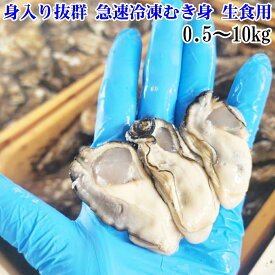 【20％OFFクーポン】1年牡蠣 冷凍牡蠣 むき身 生食用 剥き身 牡蠣 500g(500g入×1袋) 〜10kg(2kg袋×5袋) カキ 牡蛎 むき身 牡蠣剥き身牡蠣 むき身 剥き身 松島牡蠣屋 牡蠣鍋に カキ 牡蠣 カキフライ 牡蠣のアヒージョ 現在冷凍出荷中