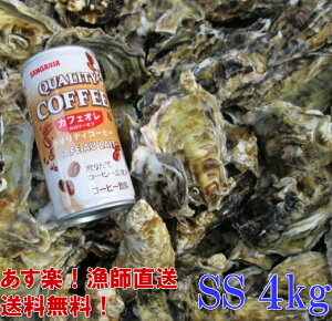 y kt y Mpuy SS4kgv y80zyݗⓀoגz 4L kt y kt a y kt {錧Y Iʉy JL Mp y o[xL[H CY
