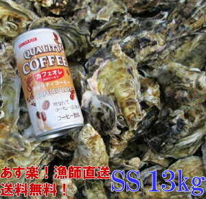 uy SS13kgvi260jyݗⓀoגz{錧Y kt a y kt Iʉy y kt JL Mp y a BBQ o[xL[H CY