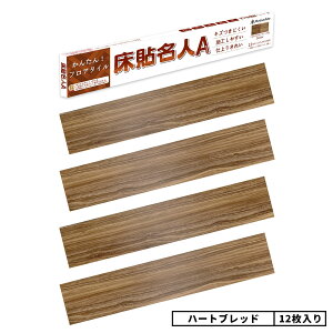 tA^C ؖ \邾 V[  g[Ή h  t[O V[g 1 3 6 9 12 Lb` gC  L ʏ rO SOK ȒP DIY tH[ Ae