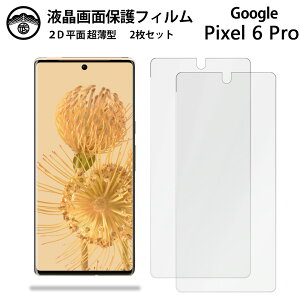 ytیtB 2ZbgzGoogle Pixel6 Pro tB sNZ6Pro Pixel 6 Pro Pixel6 sNZ6Pro ʕیV[g tیtB ^Cv NA ߗ ڂɗD 0.1mm dx  