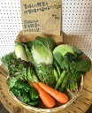 野菜10品以上セット 新鮮な野菜を毎日厳選してお届けします! 【本州・九州・四国は送料無料】【 野菜 セット 野菜セット 新鮮 フレッシュ お試し 詰め合わせ ...
