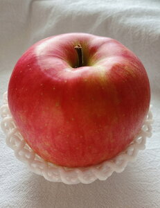 VimXC[g 쌧Yy؃Zbgőz