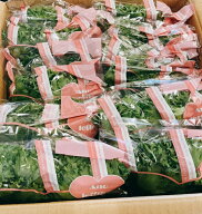 低カリウムレタス 三重県伊賀産【箱売り送料無料】