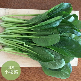 小松菜 茨城・三重産【野菜セット同梱で送料無料】