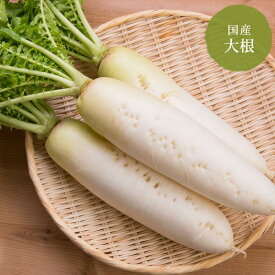 大根 北海道・青森産【野菜セット同梱で送料無料】