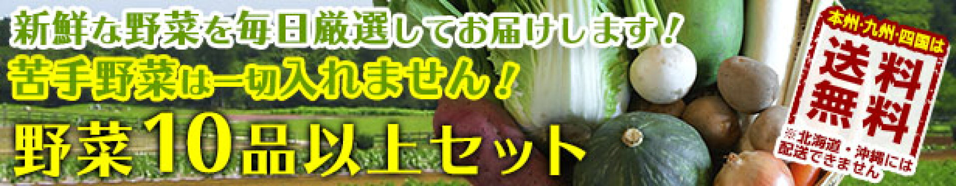 野菜10品以上セット