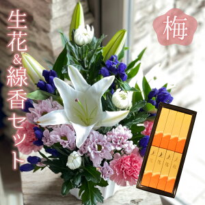    Zbg ~ AWg ip V~ ~ ~ ފ @   ybg    