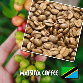 タンザニア 世界三大コーヒー キリマンジャロAA 200g 自家焙煎 大須 老舗 松屋コーヒー本店