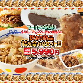 【1食200円！フードロス削減】 松屋 公式 牛めし(120g)22食＋訳あり商品8食 計30食のお得な訳あり商品詰合せ福袋！ 訳あり 食品 冷凍食品 フードロス 賞味期限 間近 おかず セット 調理 冷凍 牛めし 牛丼 肉 送料無料 非常食