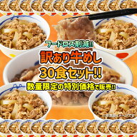 【1食217円！フードロス削減】 松屋 公式 牛めし30食のお得な訳あり商品詰合せ！ 訳あり 食品 冷凍食品 …