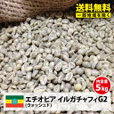 【送料無料(一部地域を除く）】コーヒー 生豆 モカ 珈琲 豆 未焙煎 5kgエチオピア イルガチャフィ G2(Ethiopia Yirgacheffe G2)